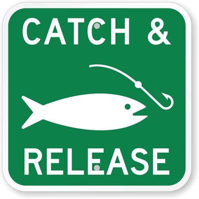 Release a catch. Things To Know About Release a catch. 